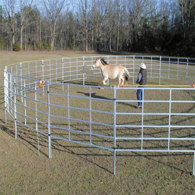 China Easily Assembled Powder Coating Round Tube Horse Cattle Panel for sale