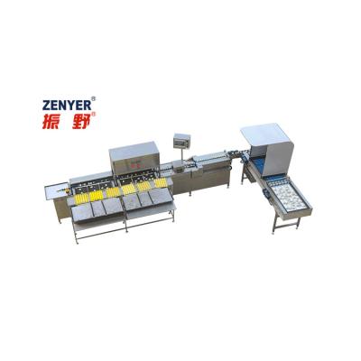 China Dairy factory egg sorter egg sorter for sale egg grading packing machine for sale