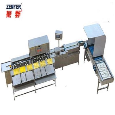 China Dairy factory big egg grading machine egg sorter egg sorter for sale for sale