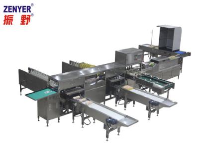 China Vegetable Processing Factory China Egg Processing Plant Egg Equipment Best Sale Egg Sorter for sale