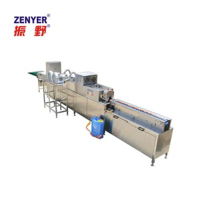 China Dairy Factory Washing Machine Brush Egg Machine Fresh Cleaning Washer for sale