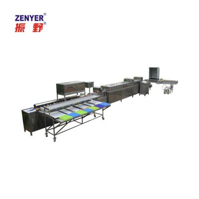 China Automatic egg washere bakery zenyer egg sorter egg sorter 2022 gg processing line for sale