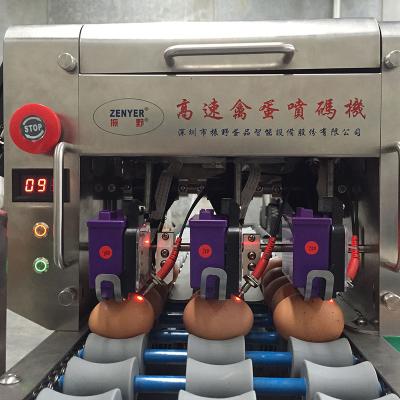 China Egg Developing Machine Zenyer Color Touch Screen Egg Printer 3 - Head Inkjet Printer Good Price For Sale for sale