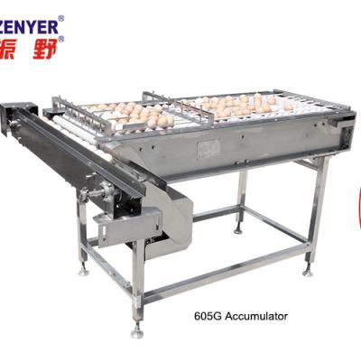 China Best selling egg accumulator egg processing machine egg processing equipment egg accumulator for sale