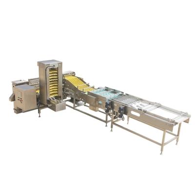 China Bakery Hotsale Farm Packer (Automatic Egg Packer) for sale