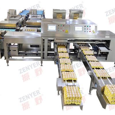 China 714 Zenyer Eggs Full Automatic Egg Farm Multifunctional Packer Large Egg Processing Machine Output 55000 pcs/h NOT GRADING Stainless Steel for sale