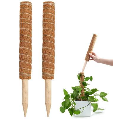 China Moss Pole Cocos Expandable Coir 2 15.7 Inch Indoor Plant Grow Support Poles for sale