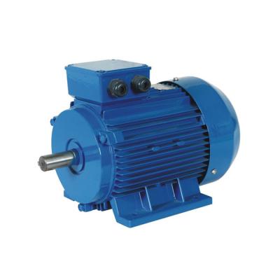 China YE2 Series Waterproof Three Phase Asynchronous AC Motor High Efficiency Electric Motor for sale