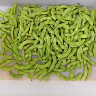 China Frozen Edamame FROZEN for sale