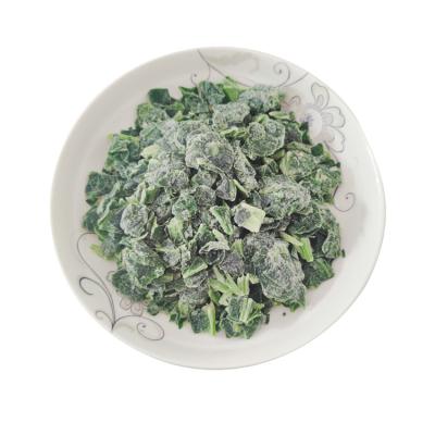 China Hot sale iqf vegetable jelly spinach cut food specifications iqf JELLY spinach hot for sale