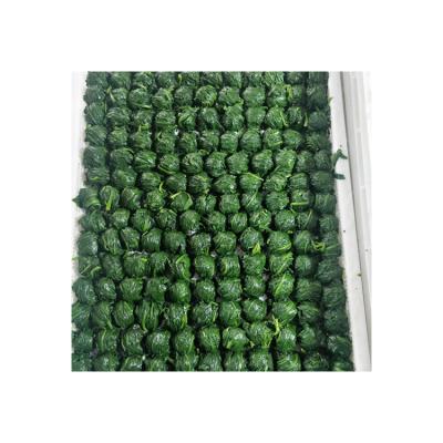 China Hot Selling Wholesale FROZEN IQF Spinach Frozen Vegetable Spinach Green Balls for sale