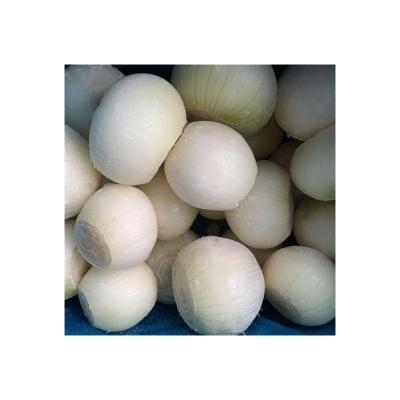 China Hot Sale Wholesale Fresh Onion Suppliers IQF Frozen Whole White Onion for sale