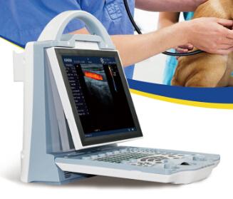 China DCU12 portable full digital color doppler vet ultrasound scanner for sale