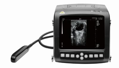 China KX5200 wrist portable full- digital B mode veterinary ultrasound scanner for sale