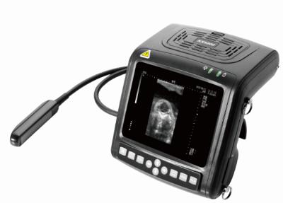 China KX5200 wrist portable veterinary ultrasound scanner for sale