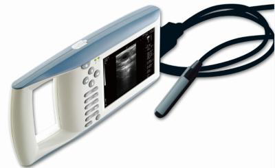 China KX5100V portable veterinary ultrasound scanner for sale