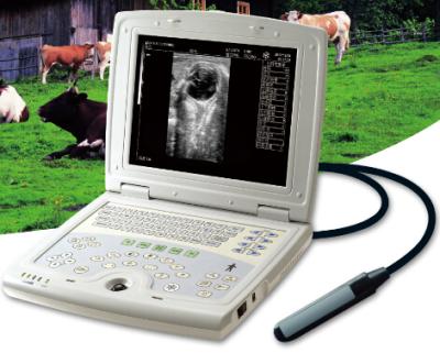 China KX5000V laptop B mode veterinary ultrasound scanner for sale