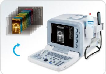 China KX2000V portable B mode veterinary ultrasound scanner for sale