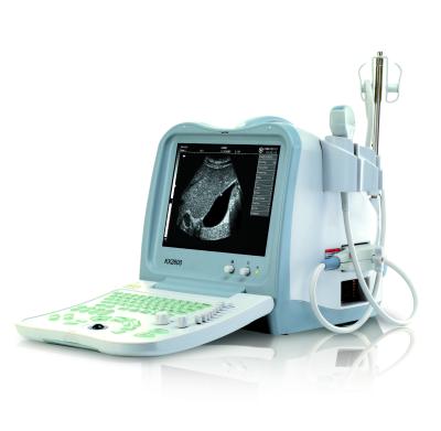 China KX2600V portable  veterinary ultrasound scanner for sale