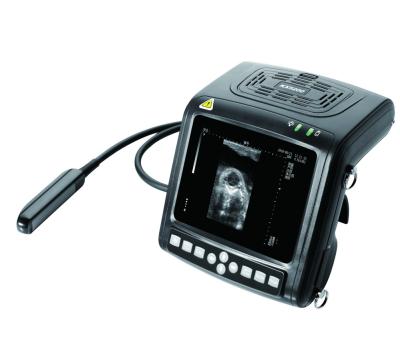 China KX5200 Veterinary B Mode Ultrasound scanner for sale