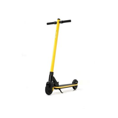 China Unisex High Standard E-scooter 25Km/H Foldable E-scooter With 24V/4.0Ah Easy Carry Electric Scooters for sale