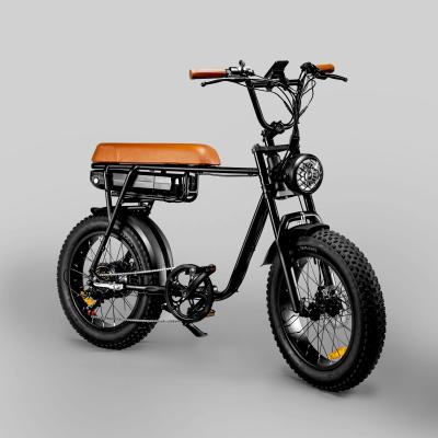 China EU USA Warehouse Aluminum Alloy Drop Shipping 750W 1000W Fat Tire Off Road Electric Bike Mountain For Adult Vintage Electric Bicycle for sale