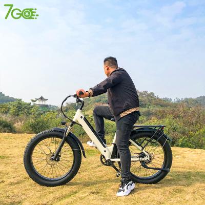 China Aluminum alloy factory direct sales battery lithium battery removable 500w 10Ah electric bike torque high fat tire bike e-bike for sale