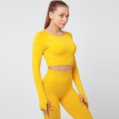 China Ins Breathable Sports Fitness Top Running Yoga Quick-Drying Women Long Sleeve Tight Top for sale