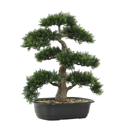 China Mini plant environmental artificial green pine tree bonsai indoor decor for sale for sale