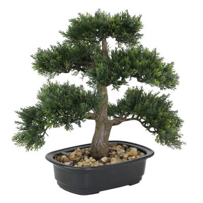 China Environmental Faux Potted Tree Display Plant Desktop Faux Cedar Artificial Japanese Indoor Bonsai Pine For Home Office Decoration for sale