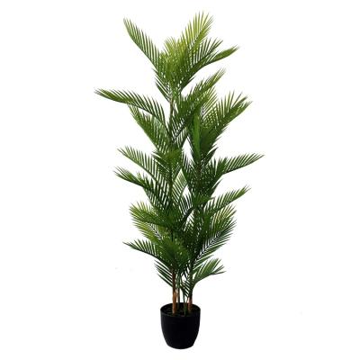 China Newest Style Environmental High Quality True Touch Artificial Palm Plant for sale