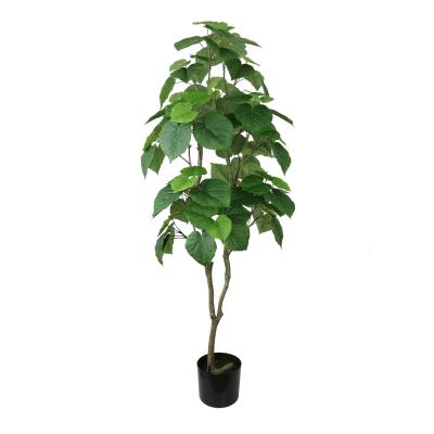 China New Design Environmental Medium Product Mini 142cm Height Ficus Rumphii Tree For Office Decor for sale