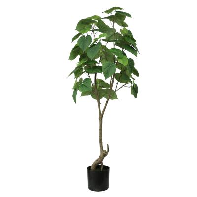 China Factory wholesale 132cm environmental home type ficus umbellata tree for sale for sale