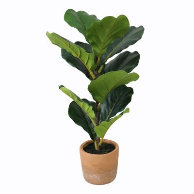 China Small Environmental Garden Decoration Fake Fig Tree With PE Sheet for sale