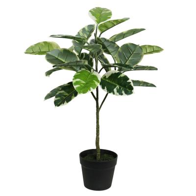 China Environmental Cheap Plastic Fake Ficus Bonsai Tree Factory Price Room Indoor Decor for sale