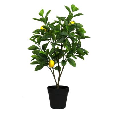 China Mini Potted Plastic Fruit Plant Lemon Bonsai Plant Environmental Artificial Tree Garden Indoor Decor for sale