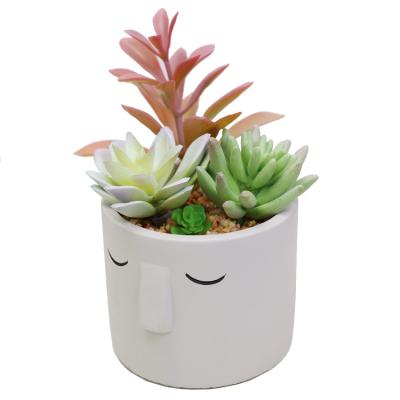 China High Quality Environmental New Style Artificial Bonsai Plant Mini Succulent With Cement Pot For Decor for sale