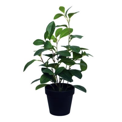 China Wholesale 60cm Artificial Watercress Potted Plant Environmental for sale