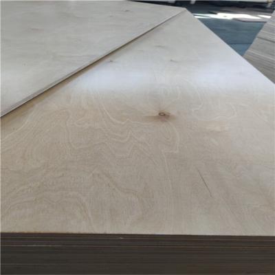 China Modern Russian Birch Plywood 15mm White Birch Finished Plywood for sale