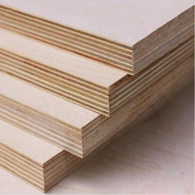 China Modern Full Birch Plywood BB/BB C/C Grade For Furniture Usage for sale