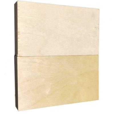 China Full Modern Phenolic Birch Plywood 12mm for sale