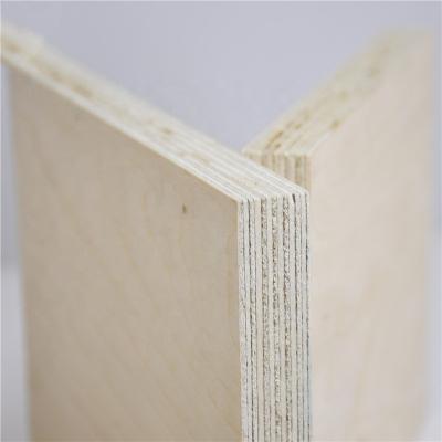 China B/BB Modern Baltic Birch Plywood Prefinished Birch Plywood Brand for sale