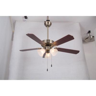 China Other Best Price Crazy Sale Modern Wood Ceiling Fan With Light for sale