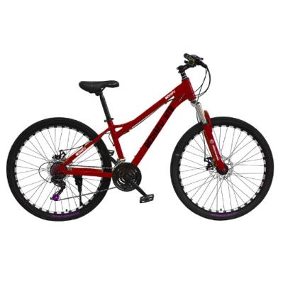 China Popular Mountain bikes 24 