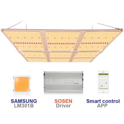 China FLOWER Top Bin SF6000 600w LM301H LM301B Panel Spectrum King Tent Kit SF 6000 LED Grow Light for sale