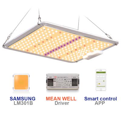 China Dimming control SF1000 100w full spectrum diy grow Kit Bulb SF 1000 100 watt LED grow light for sale