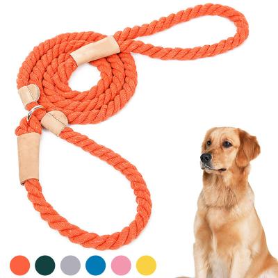 China Best Fashion Personalized Welcome Cotton Relieves Stress 12 Pack Dog Rope Dog Collar for sale