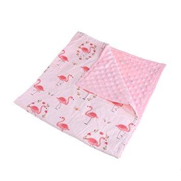 China Anti-Static Amazon Popular Lovely Soft Minky Dot Baby Minky Blanket for sale