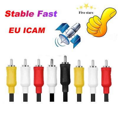 China Stable Sky Germany Cccam Icam Europe Cccam Oscam Europe 8 Lines Support Germany Poland Italy Austria Stable and Fast Free Trial for sale