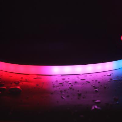 China 2021 Residential Sports Stadiums Hotel Garden Relight Customization Light Strip For Projects IP67 IP68 LED Pixel Neon Light Strip Waterproof for sale